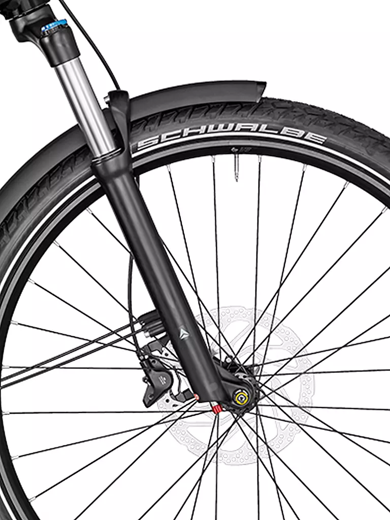 BERGAMONT | Herren E-Bike E-Revox Pro EQ | schwarz