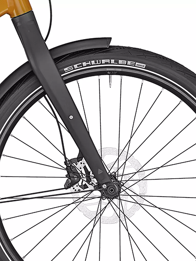 BERGAMONT | Herren E-Bike E-Revox Sport Rigid EQ | orange