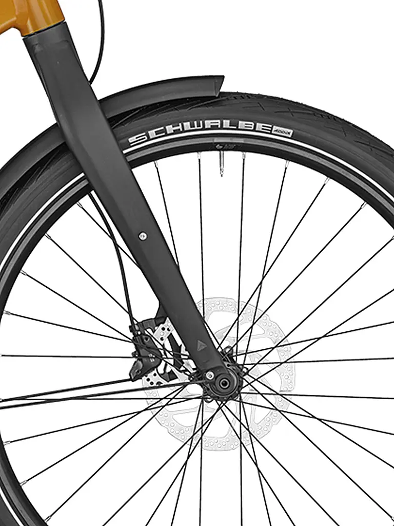 BERGAMONT | Herren E-Bike E-Revox Sport Rigid EQ | 