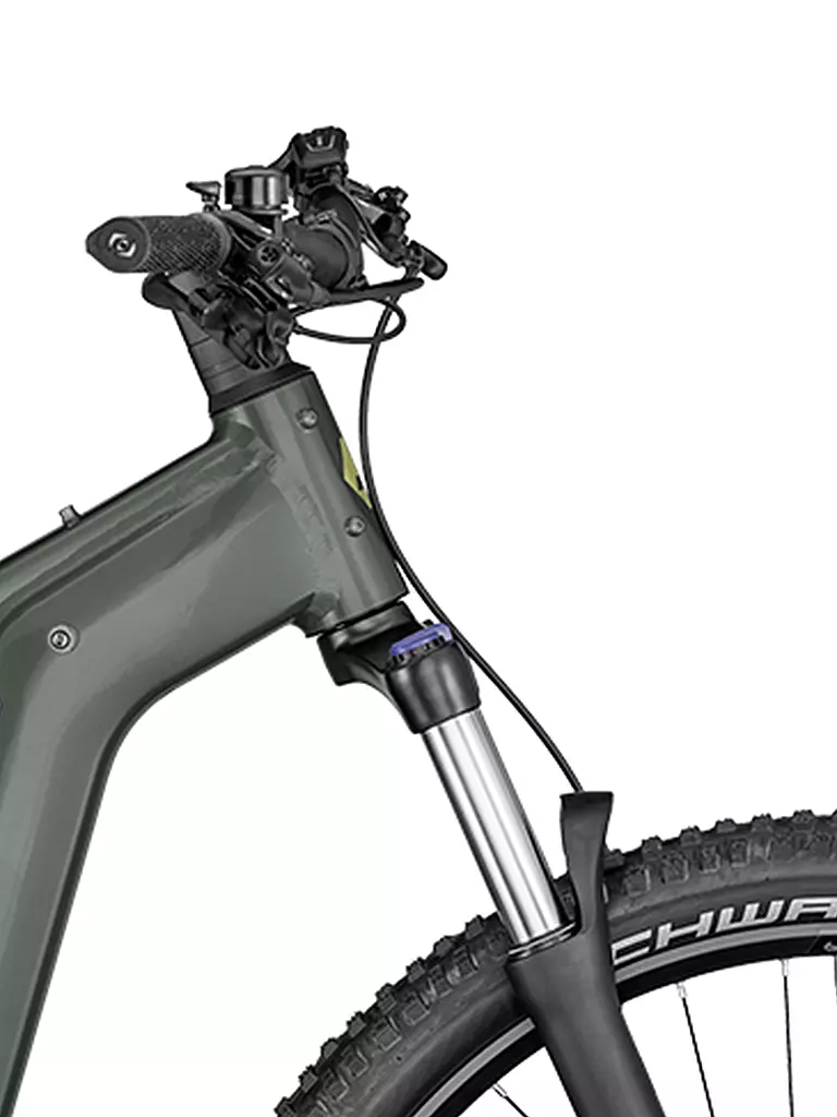 BERGAMONT | Herren E-MTB E-Revox Sport | olive