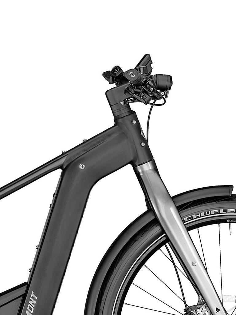 BERGAMONT | Herren E-Urbanbike 29" E-Revox Premium Rigid EQ  | schwarz