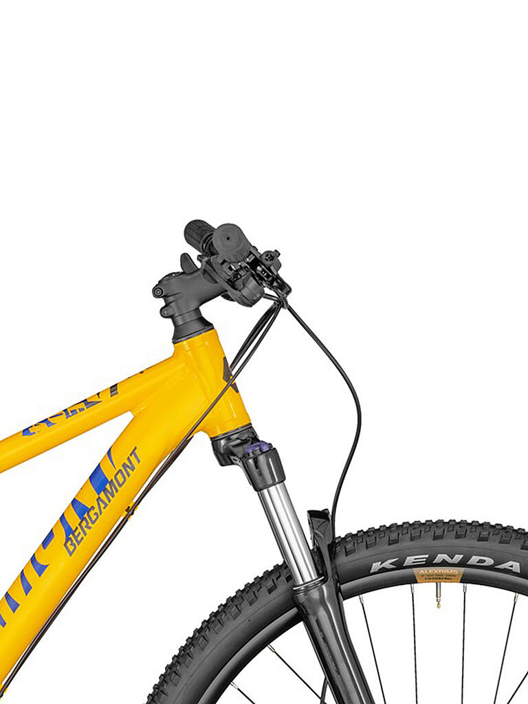 BERGAMONT | Herren Mountainbike 29" Revox 4 2022 | orange