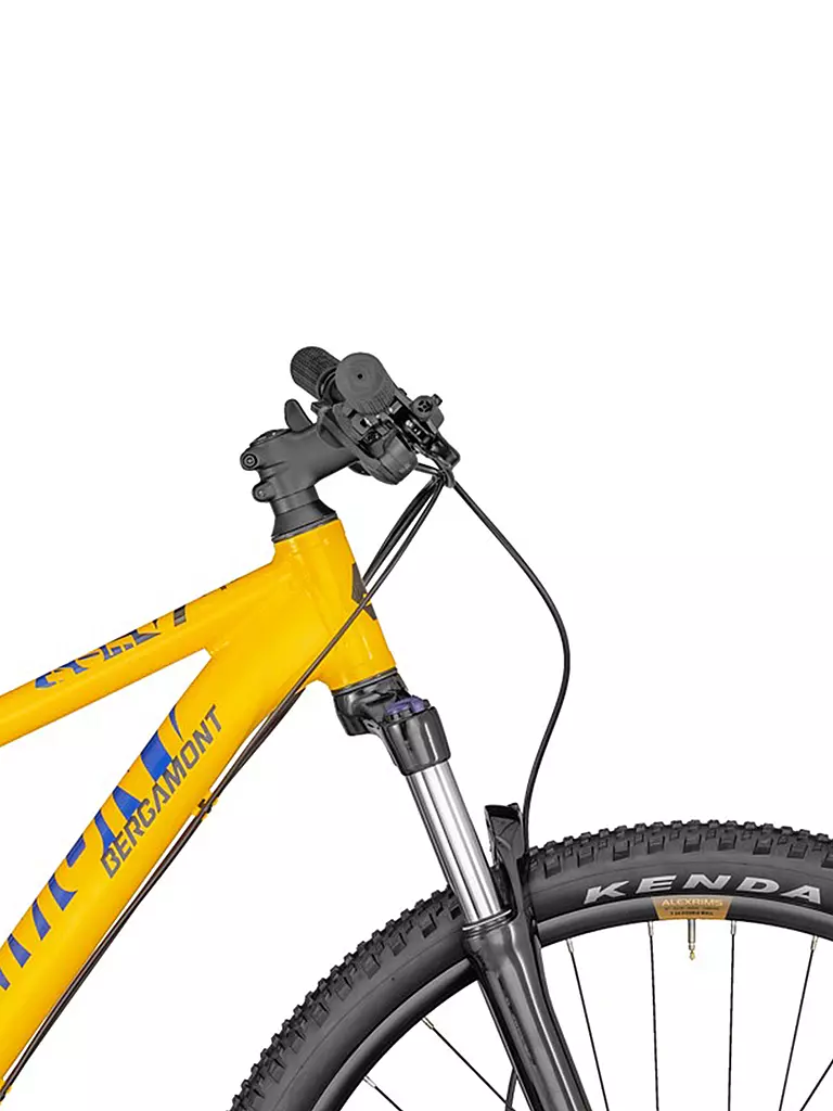 BERGAMONT | Herren Mountainbike 29" Revox 4 | orange