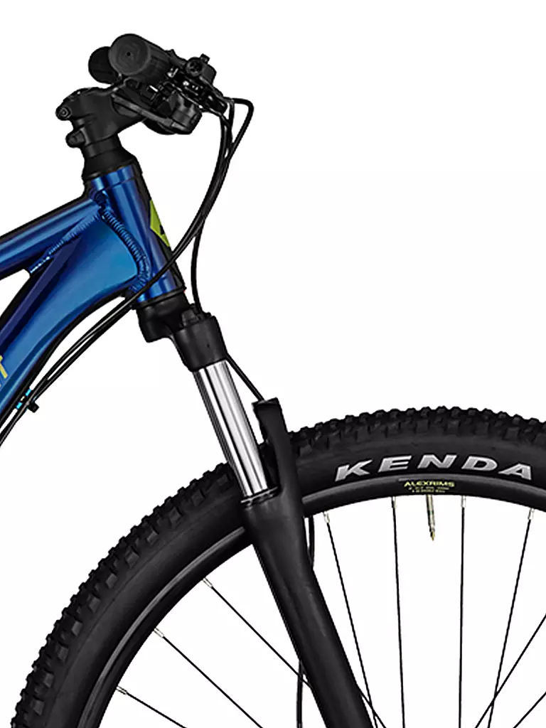 BERGAMONT | Mountainbike Revox 3 blue | blau