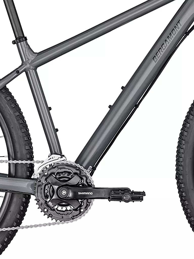 BERGAMONT | Mountainbike Revox 3 grey | grau