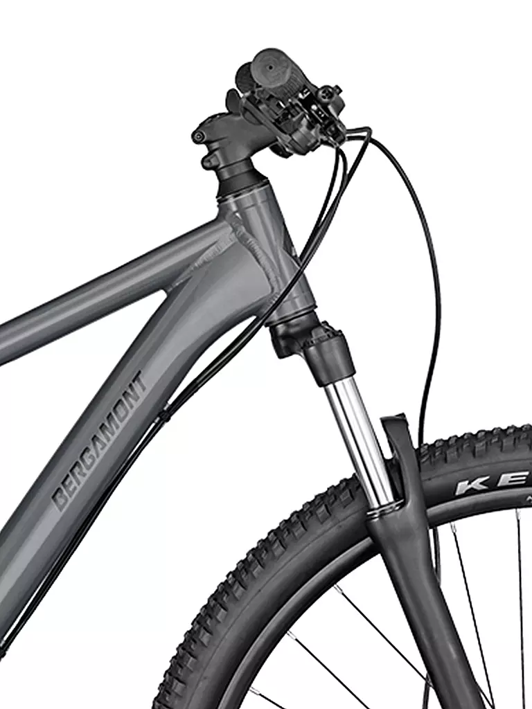 BERGAMONT | Mountainbike Revox 3 grey | grau