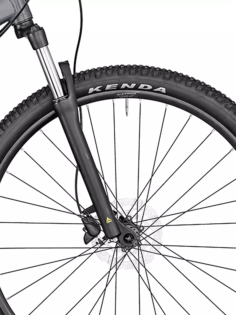 BERGAMONT | Mountainbike Revox 3 grey | grau