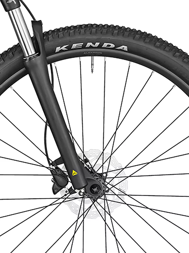 BERGAMONT | Mountainbike Revox 4 black | schwarz