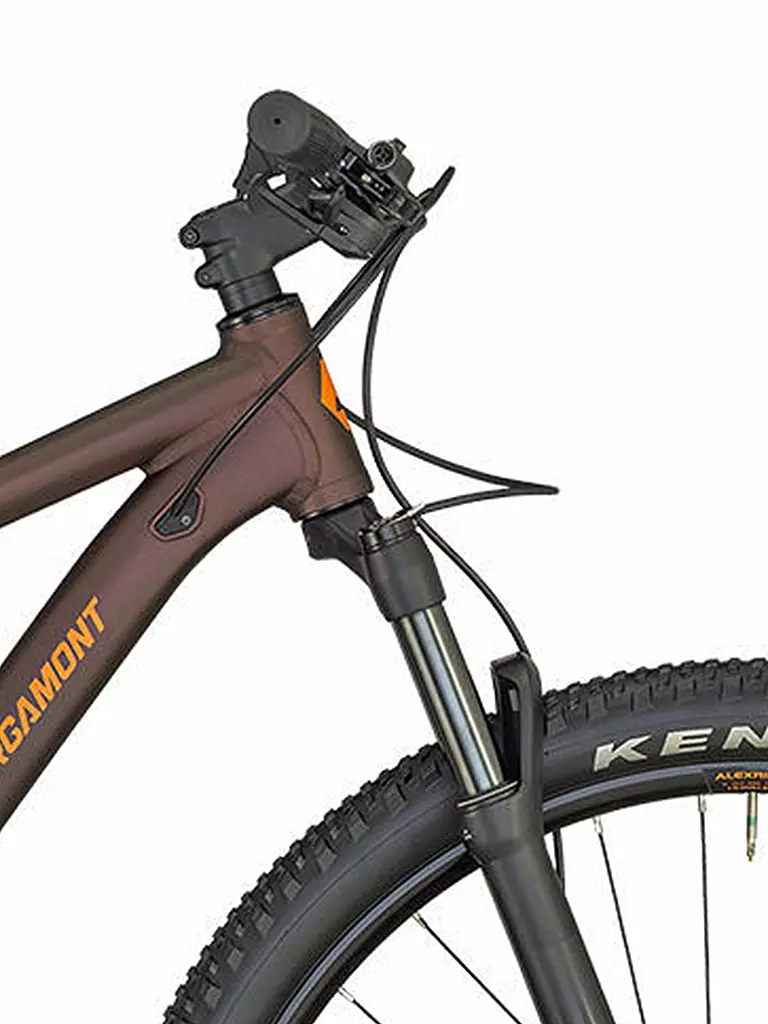 BERGAMONT | Mountainbike Revox 7 | braun