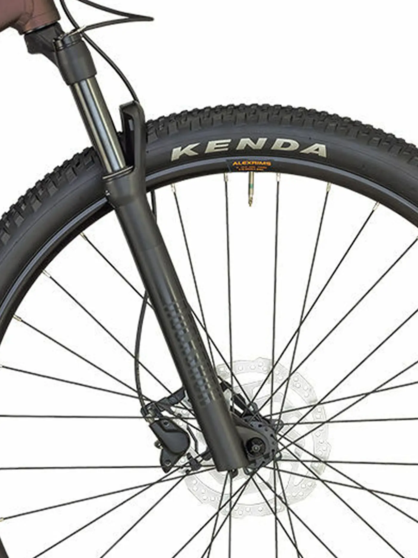 BERGAMONT | Mountainbike Revox 7 | braun