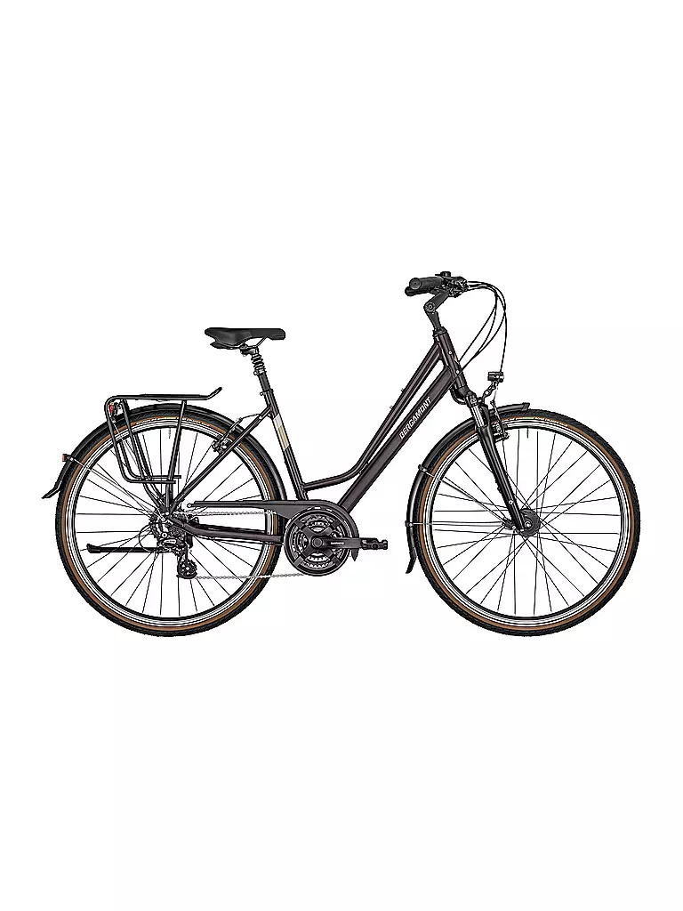 BERGAMONT | Trekkingbike Horizon 3 Amsterdam 28'' | beere