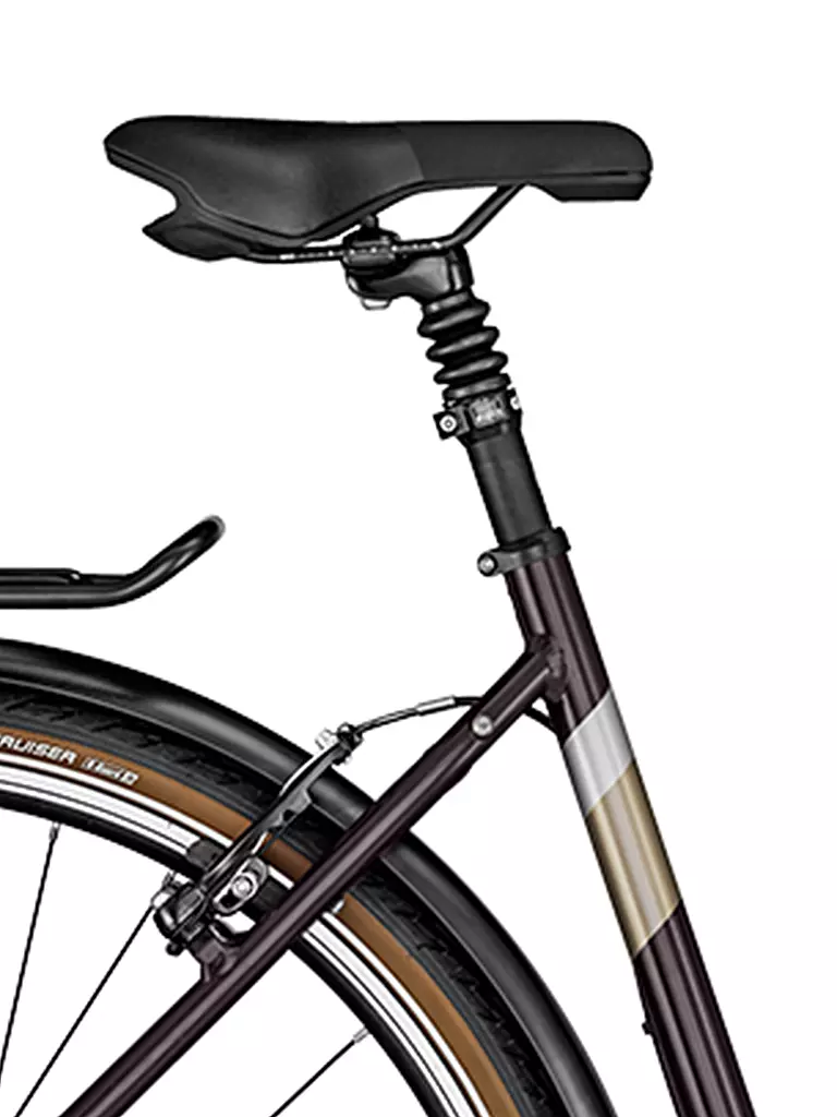 BERGAMONT | Trekkingbike Horizon 3 Amsterdam 28'' | beere