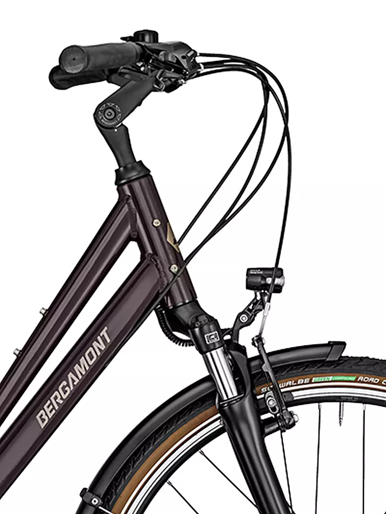 BERGAMONT | Trekkingbike Horizon 3 Amsterdam 28'' | beere