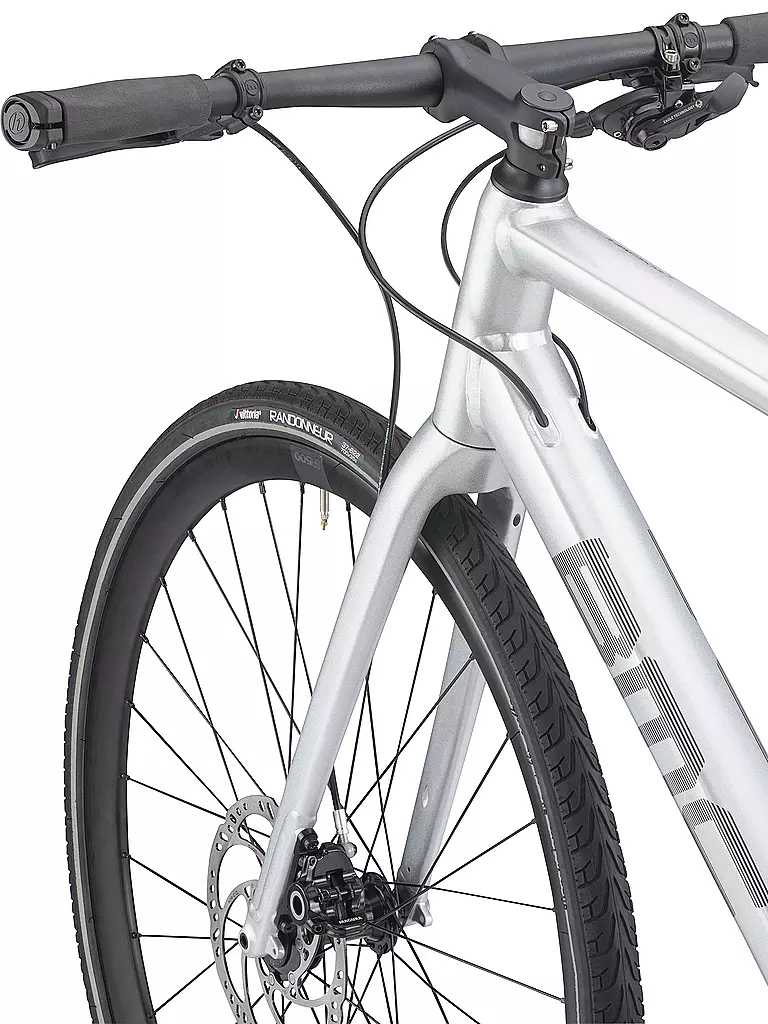 BMC | Herren Urbanbike Alpenchallenge AL TWO | silber