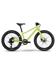 BMC | Jugend Mountainbike 20" Twostroke AL | grün