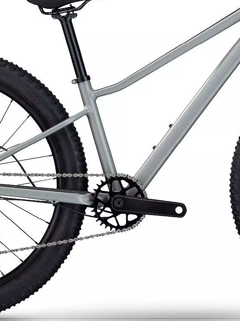 BMC | Jugend Mountainbike 24" Twostroke AL | grau