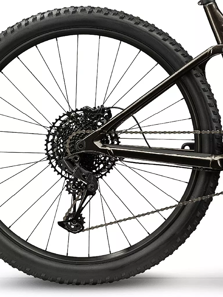 BMC | Mountainbike 29