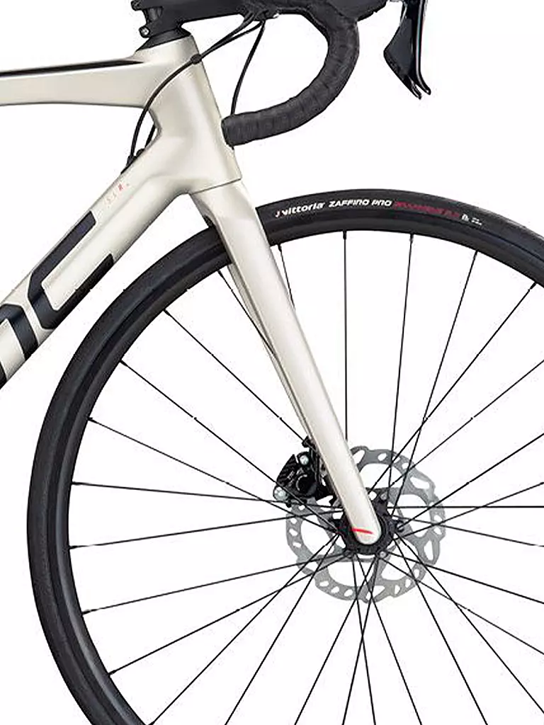 BMC | Rennrad Teammachine SLR FIVE | silber