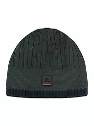 BOGNER FIRE+ICE | Mütze Eastan2 | dunkelgrün