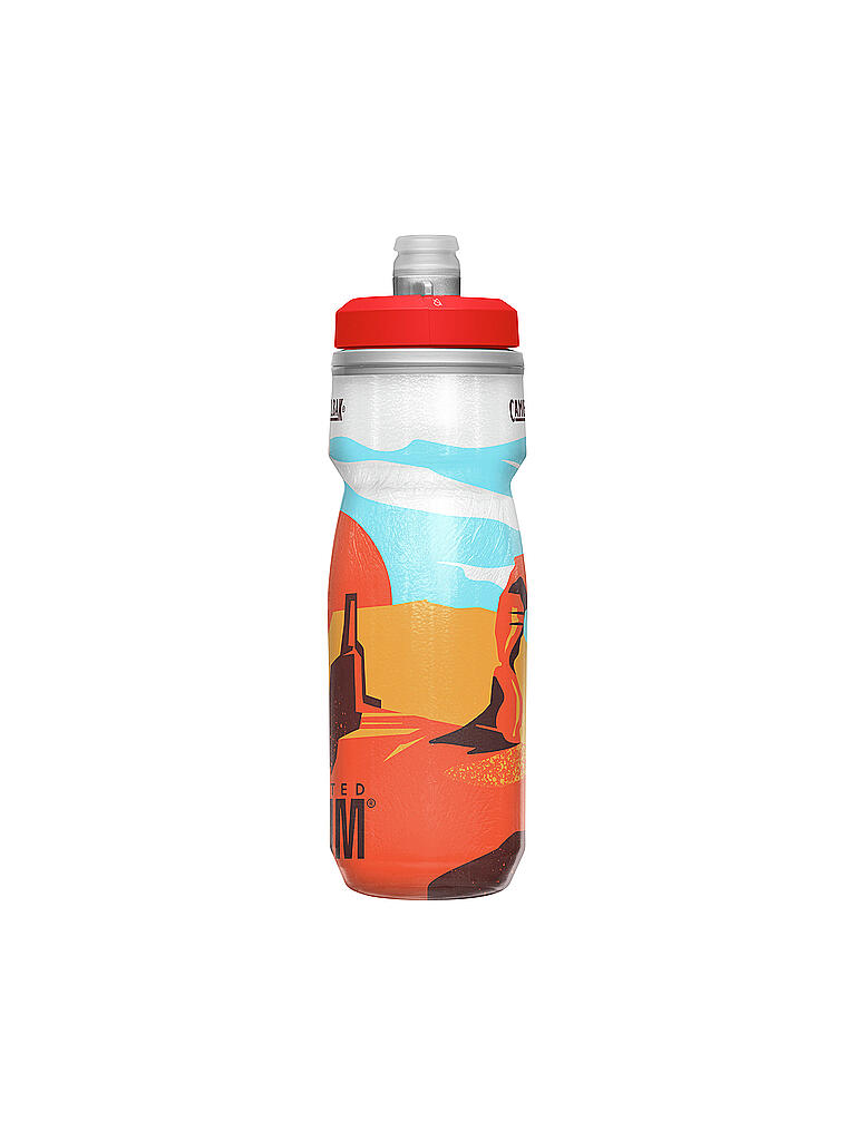 CAMELBAK | Trinkflasche Podium Chill Spring Summer LE 620ml | bunt