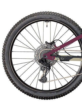 CONWAY | Herren E-Mountainbike Xyron S 5.0