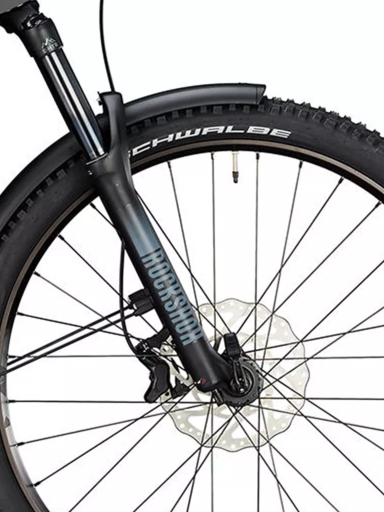 CONWAY | Damen E-Mountainbike Xyron 2.0 750 29