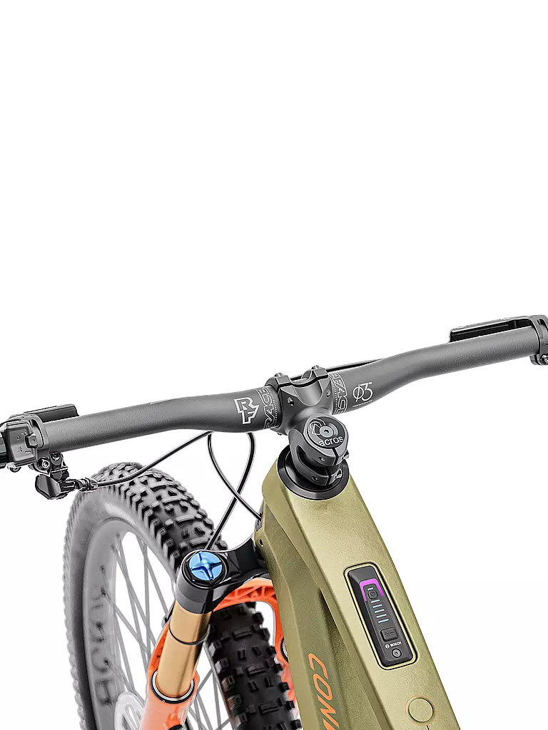CONWAY | Herren E-Mountainbike Ryvon LT 10.0 | camel