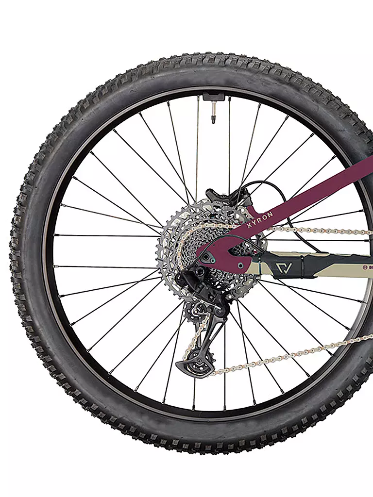 CONWAY | Herren E-Mountainbike Xyron S 5.0 | camel