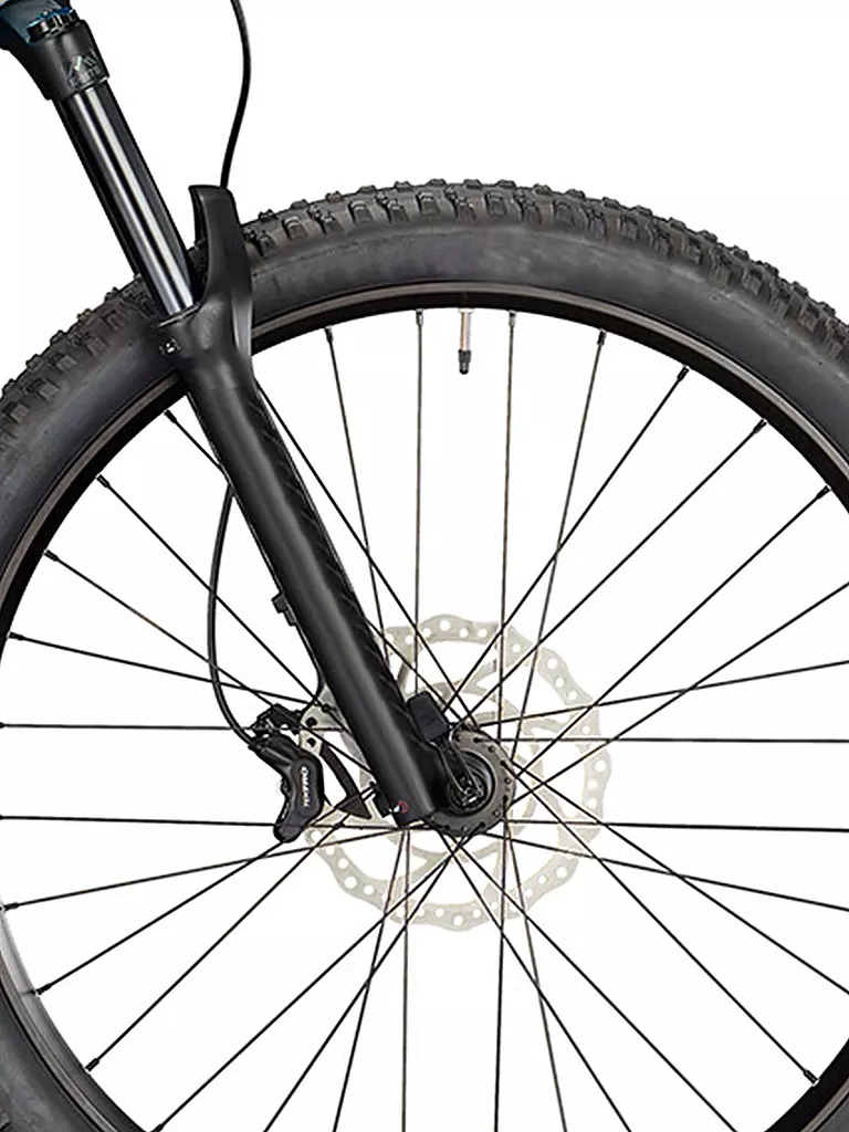 CONWAY | Herren E-Mountainbike Xyron S 5.0 | camel