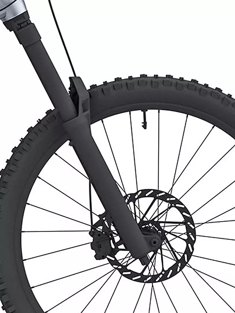 CONWAY | Herren E-Mountainbike Xyron ST 4.0 | silber