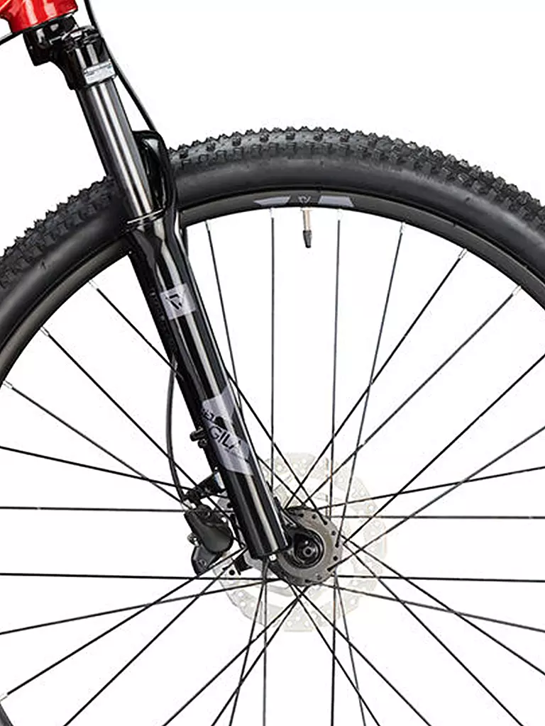 CONWAY | Mountainbike MS 4.9 | rot