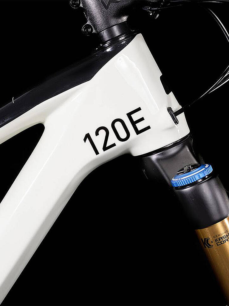 CUBE | Mountainbike 29" Stereo 120 HPC EX 2022 | grau