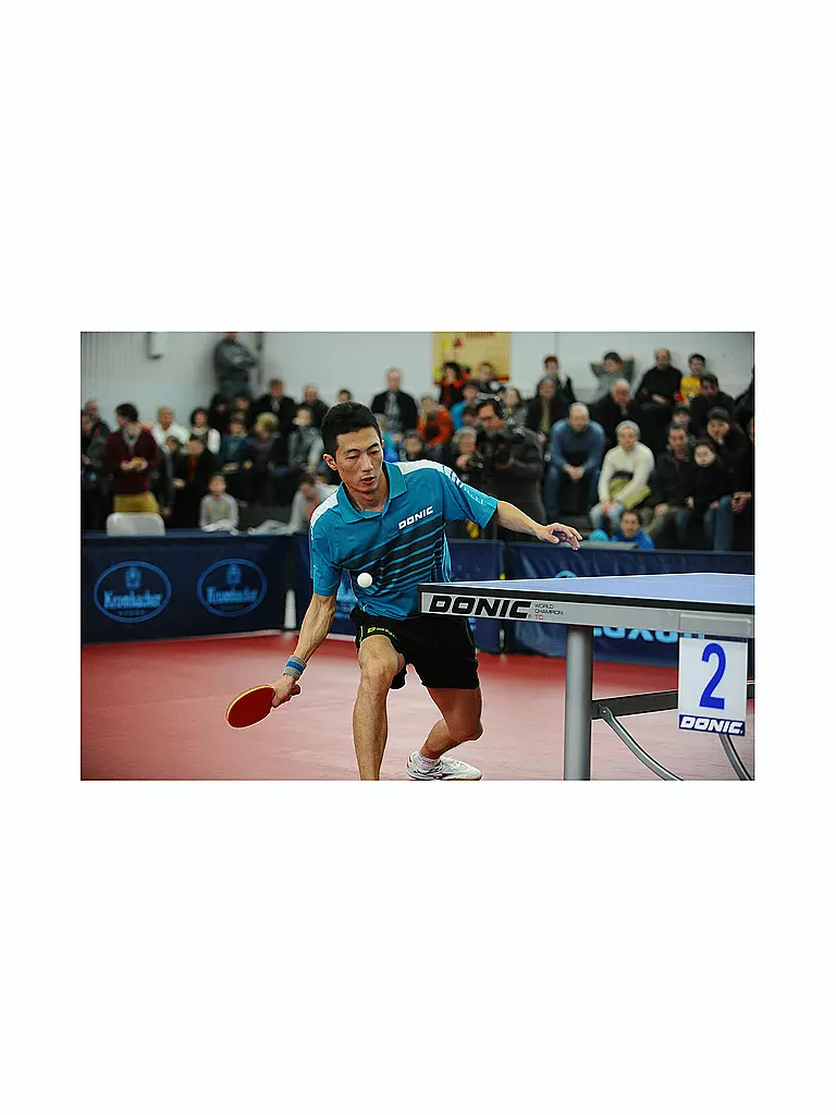 DONIC SCHILDKRÖT | Tischtennisschläger Top Team 800 | grau