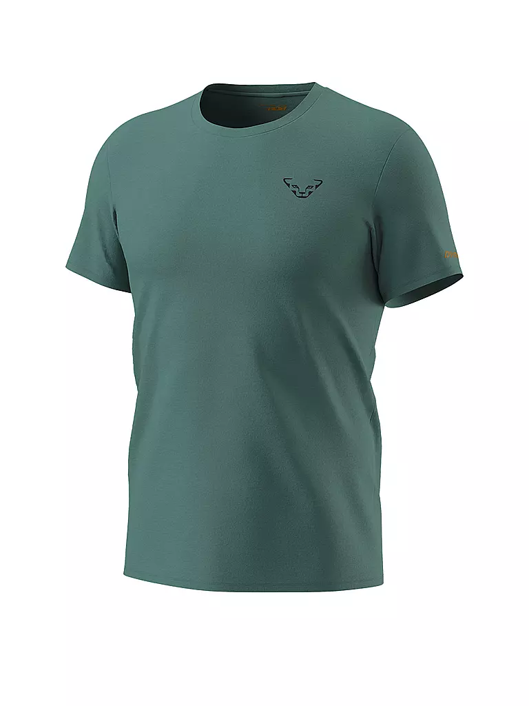 DYNAFIT | Herren T-Shirt 24/7 Graphic | petrol