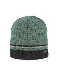 EISGLUT | Herren Mütze Gatesa | Grün