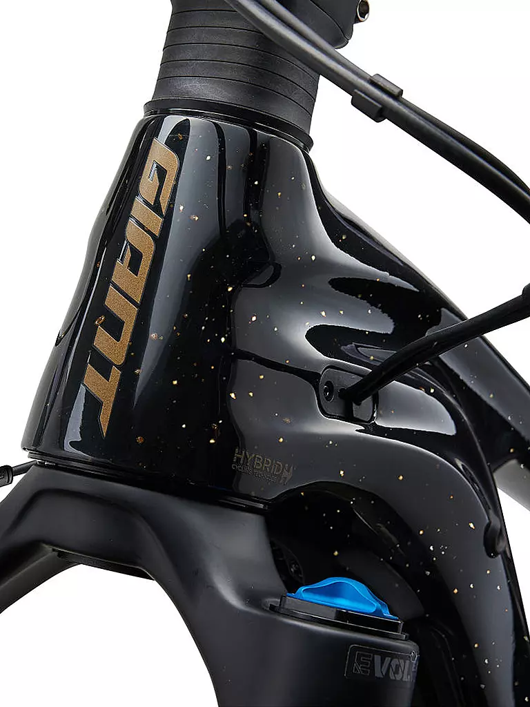 GIANT | Herren E-Mountainbike 29