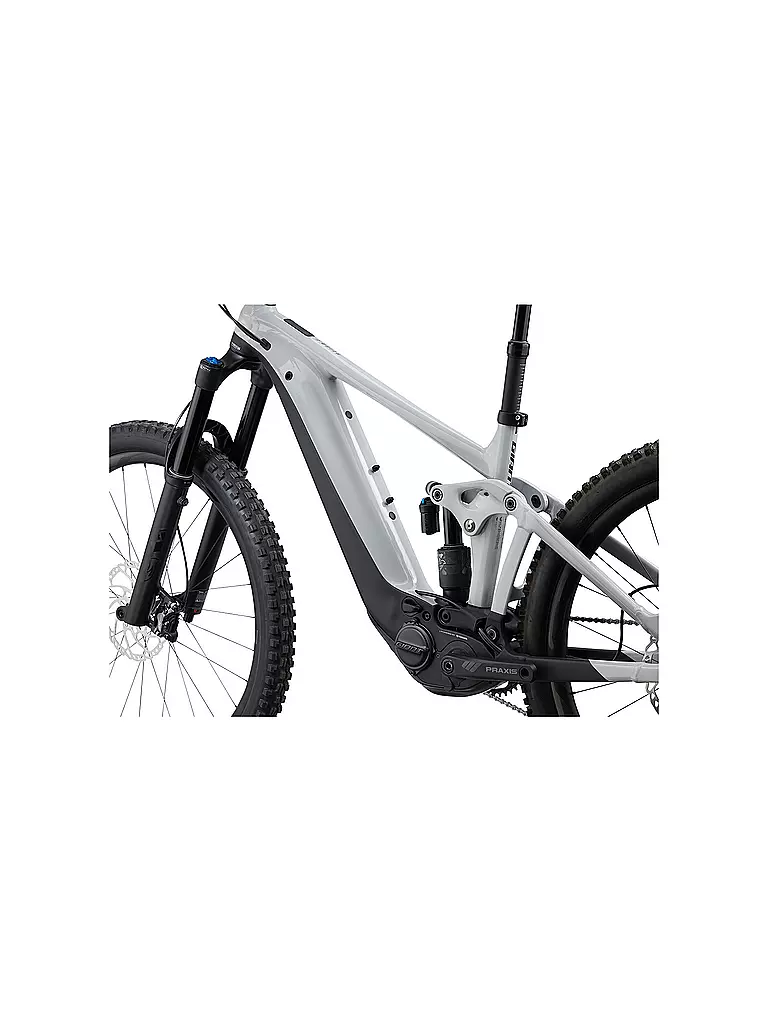 GIANT | Herren E-Mountainbike 29" Reign E+ 1 625WH  | grau