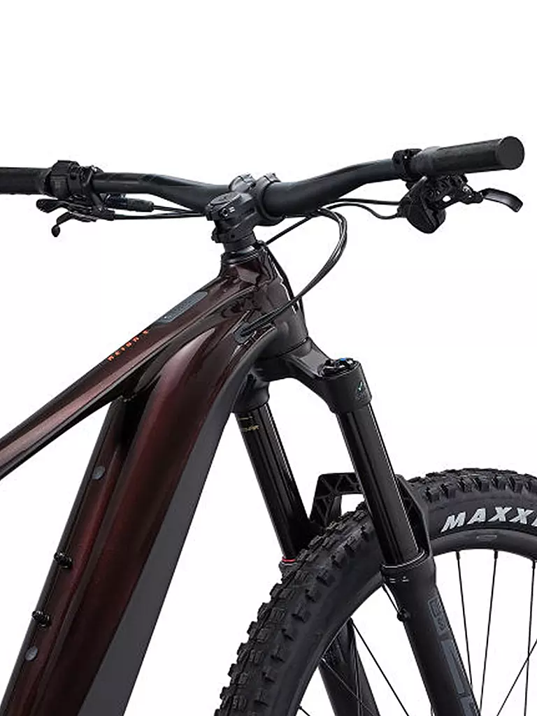 GIANT | Herren E-Mountainbike Reign E+ 2 | schwarz