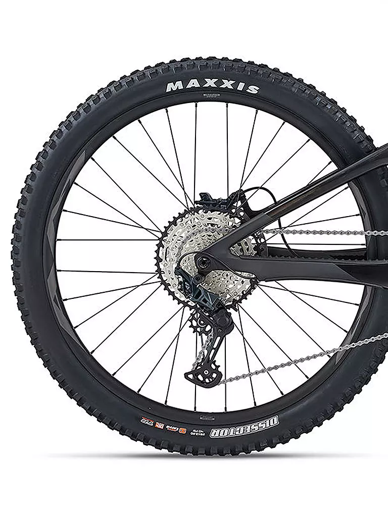 GIANT | Herren E-Mountainbike Trance X Advanced E+2 | schwarz