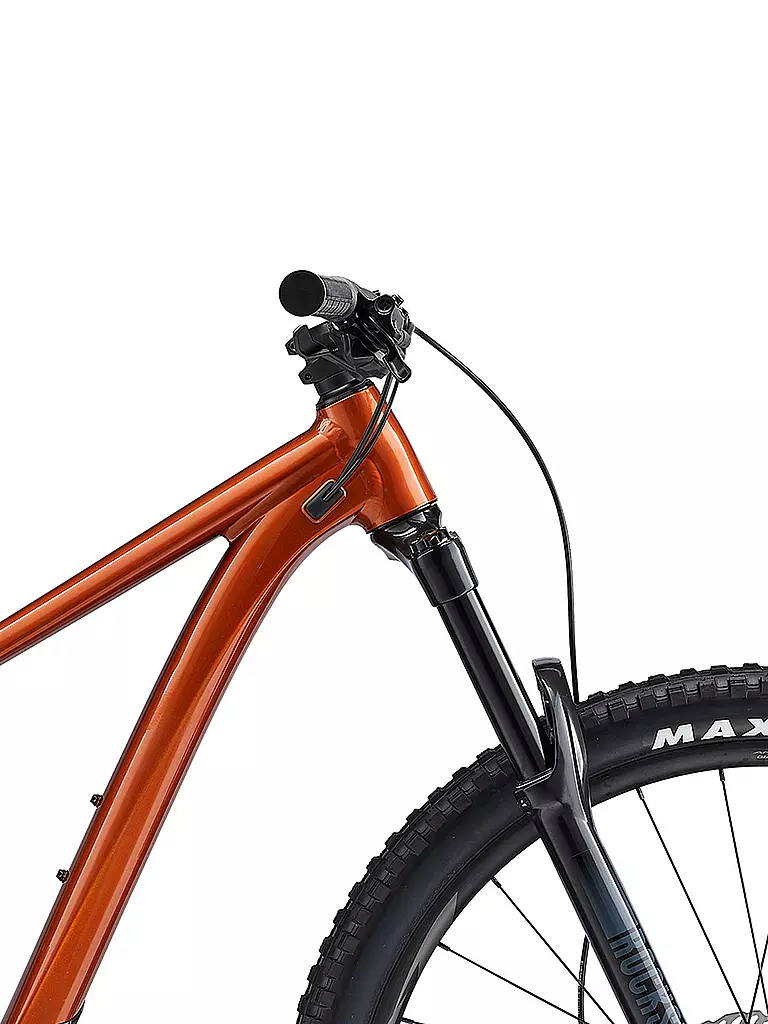 GIANT | Herren Mountainbike Trance X 29 2 | orange