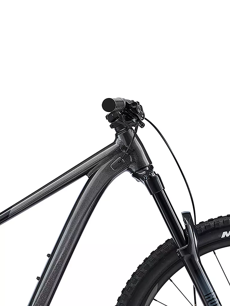 GIANT | Mountainbike 29