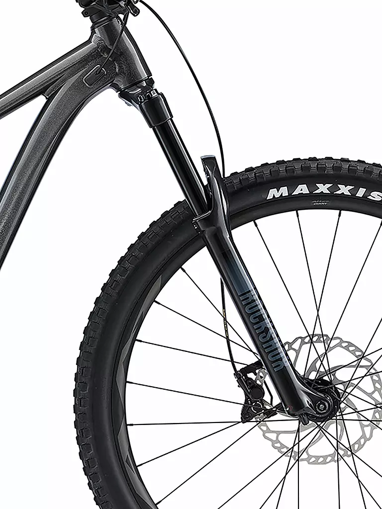 GIANT | Mountainbike 29