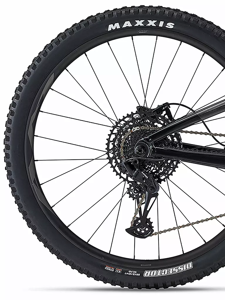 GIANT | Mountainbike 29