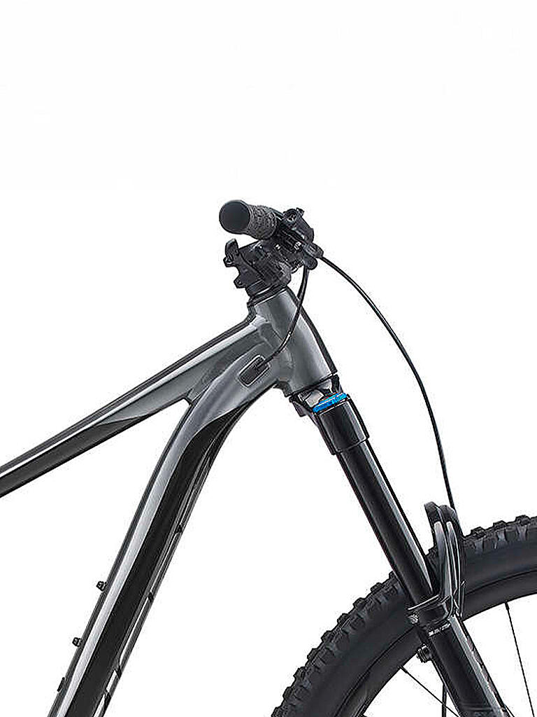 GIANT | Mountainbike 29" Reign 29 1 Ti | schwarz