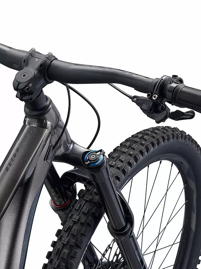 GIANT | Mountainbike 29" Reign 29 | grau