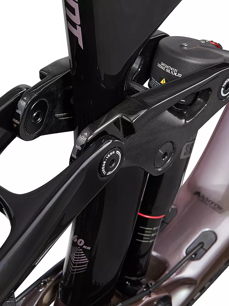 GIANT | Mountainbike 29" Reign Advanced Pro 2 2023 | silber