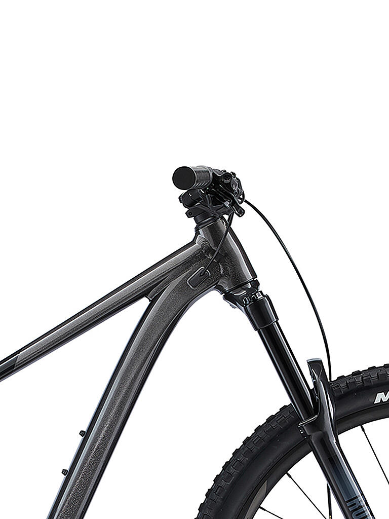 GIANT | Mountainbike 29" Trance 2 2022 | schwarz