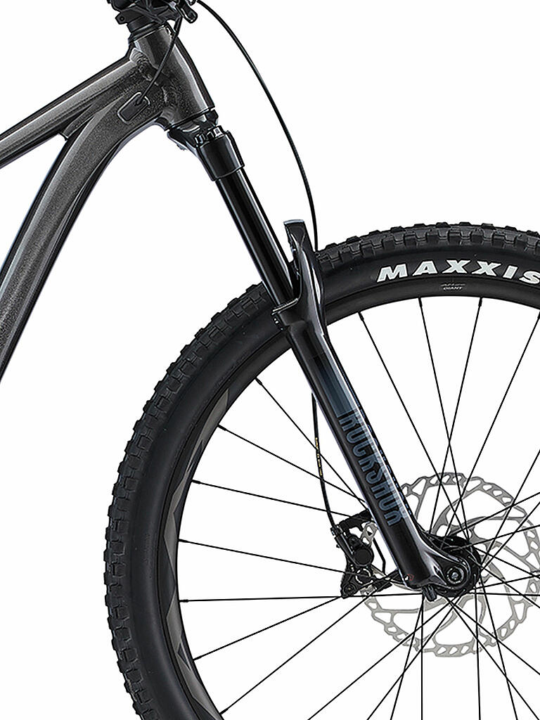 GIANT | Mountainbike 29" Trance 2 2022 | schwarz
