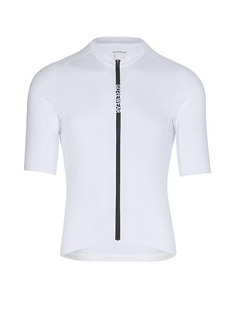 GOREWEAR | Herren Radtrikot Spinshift