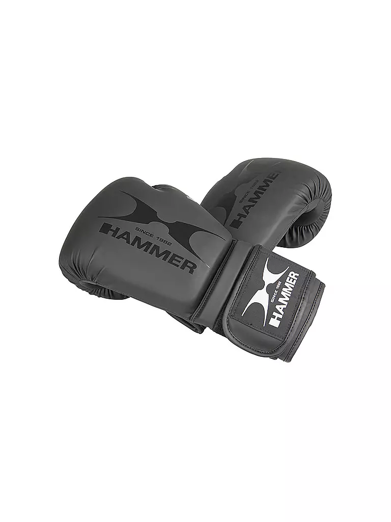 HAMMER | Boxhandschuhe Hawk | schwarz